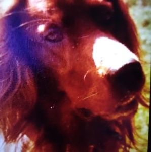 Meet your Posher, Marie m